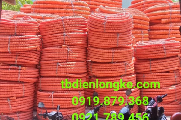 ỐNG RUỘT GÀ CAM (BA AN)