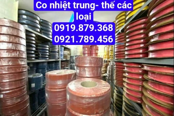 CO NHIỆT TRUNG THẾ 1