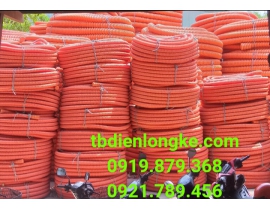 ỐNG RUỘT GÀ CAM (BA AN)